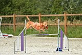 zomer wedstrijd someren zaterdag