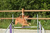 zomer wedstrijd someren zaterdag