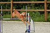 zomer wedstrijd someren zaterdag