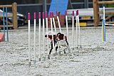 zomer wedstrijd someren zaterdag