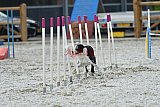 zomer wedstrijd someren zaterdag