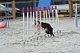 zomer wedstrijd someren zaterdag