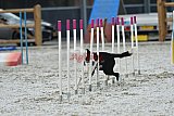 zomer wedstrijd someren zaterdag
