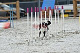 zomer wedstrijd someren zaterdag