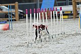 zomer wedstrijd someren zaterdag
