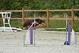 zomer wedstrijd someren zaterdag