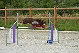 zomer wedstrijd someren zaterdag