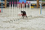 zomer wedstrijd someren zaterdag