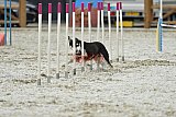 zomer wedstrijd someren zaterdag