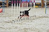 zomer wedstrijd someren zaterdag