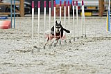 zomer wedstrijd someren zaterdag