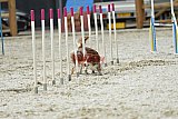 zomer wedstrijd someren zaterdag