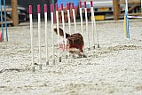 zomer wedstrijd someren zaterdag