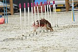 zomer wedstrijd someren zaterdag