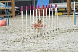 zomer wedstrijd someren zaterdag