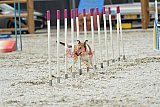 zomer wedstrijd someren zaterdag