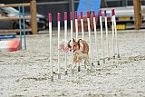 zomer wedstrijd someren zaterdag