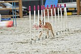 zomer wedstrijd someren zaterdag