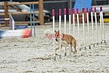zomer wedstrijd someren zaterdag