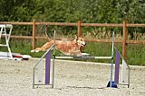 zomer wedstrijd someren zaterdag