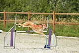 zomer wedstrijd someren zaterdag