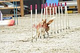 zomer wedstrijd someren zaterdag