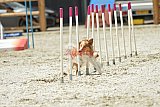 zomer wedstrijd someren zaterdag
