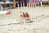 zomer wedstrijd someren zaterdag