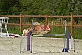 zomer wedstrijd someren zaterdag