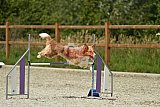 zomer wedstrijd someren zaterdag