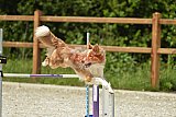 zomer wedstrijd someren zaterdag