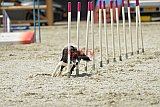 zomer wedstrijd someren zaterdag