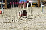 zomer wedstrijd someren zaterdag