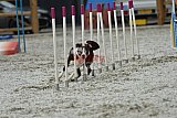 zomer wedstrijd someren zaterdag