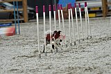 zomer wedstrijd someren zaterdag