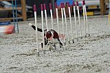 zomer wedstrijd someren zaterdag