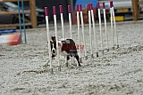 zomer wedstrijd someren zaterdag