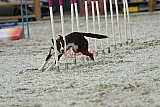 zomer wedstrijd someren zaterdag