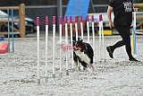 zomer wedstrijd someren zaterdag
