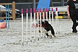 zomer wedstrijd someren zaterdag