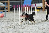 zomer wedstrijd someren zaterdag