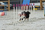 zomer wedstrijd someren zaterdag