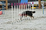 zomer wedstrijd someren zaterdag