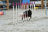 zomer wedstrijd someren zaterdag