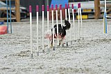 zomer wedstrijd someren zaterdag