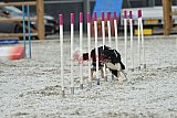 zomer wedstrijd someren zaterdag