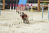zomer wedstrijd someren zaterdag