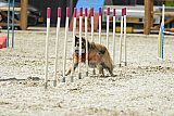 zomer wedstrijd someren zaterdag