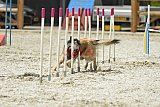 zomer wedstrijd someren zaterdag