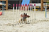 zomer wedstrijd someren zaterdag